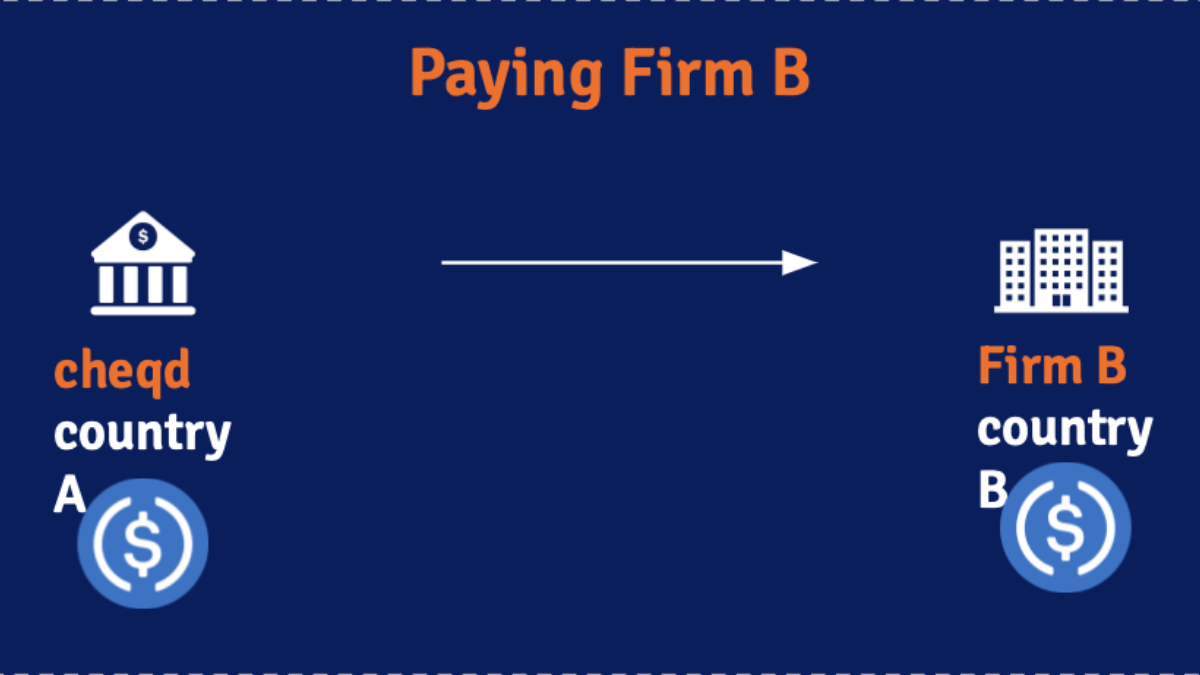 Why Self-Sovereign Identity needs a token